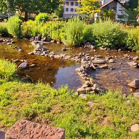 아파트 Alte Schmiede